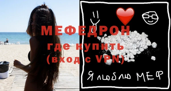 сатива Няндома