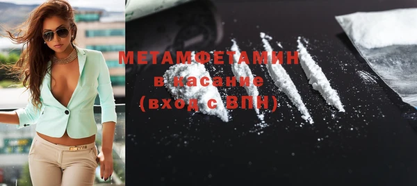 сатива Няндома