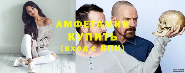сатива Няндома