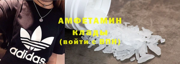 сатива Няндома