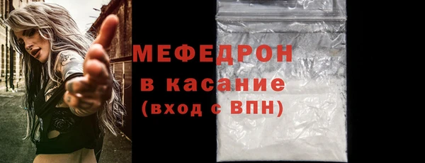 сатива Няндома