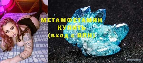 сатива Няндома