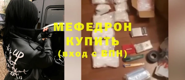 сатива Няндома