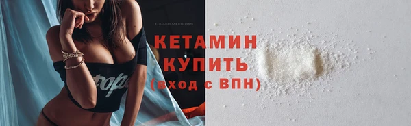 сатива Няндома