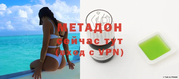 сатива Няндома