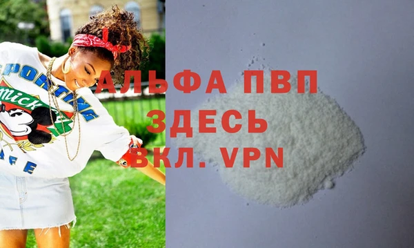 сатива Няндома